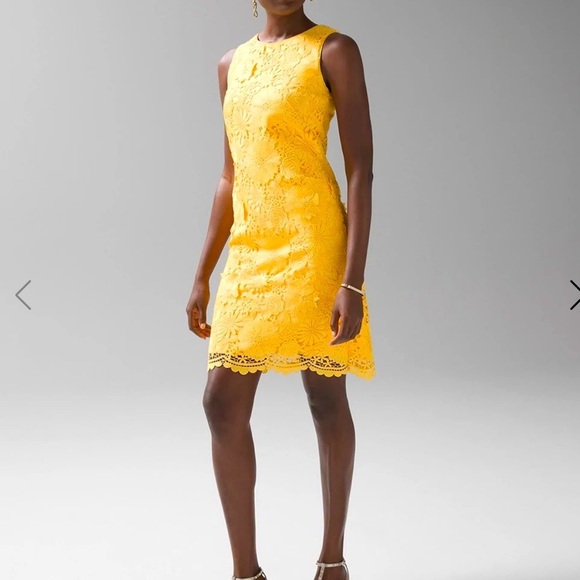 NWT WHBM Lace shift dress 6 - Dandelion. Spring, EasterParade, Lace, Boho, HAPPY - Picture 7 of 10